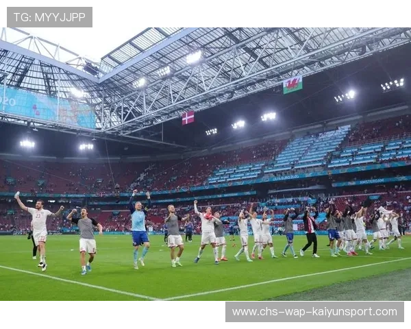 欧洲杯观众礼仪与赛场文明成为媒体关注点，欧洲杯观众席